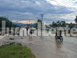 Diguyur Hujan Deras, Jalur Trans Sulawesi di Balinggi Parigi Moutong Terendam Banjir