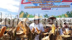 Pemkab Parigi Moutong Akan Siapkan Gudang dan Mesin Pengering untuk Selamatkan Hasil Panen Jagung