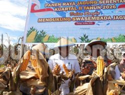 Pemkab Parigi Moutong Akan Siapkan Gudang dan Mesin Pengering untuk Selamatkan Hasil Panen Jagung