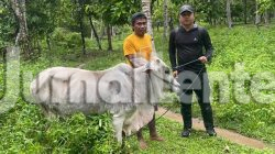 Koperasi IPR Kayuboko Sejahtera Tebar Kepedulian Sambut Iduladha