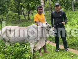 Koperasi IPR Kayuboko Sejahtera Tebar Kepedulian Sambut Iduladha