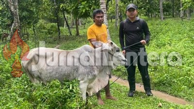 Koperasi IPR Kayuboko Sejahtera Tebar Kepedulian Sambut Iduladha