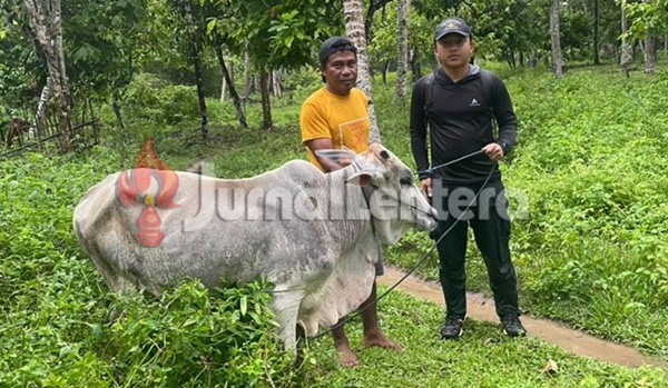 Koperasi IPR Kayuboko Sejahtera Tebar Kepedulian Sambut Iduladha