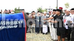 Sapi Kurban Presiden di Sulteng Bobotnya Mencapai 922 Kilogram