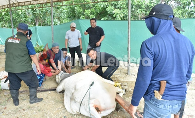 Polda Sulteng Sembelih 159 Hewan Kurban