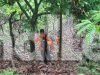 Tujuh Hari Dicari Tanpa Hasil, Nasib Kakek Hilang di Sojol Donggala Masih Misterius