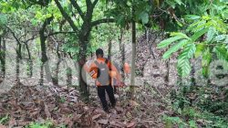 Tujuh Hari Dicari Tanpa Hasil, Nasib Kakek Hilang di Sojol Donggala Masih Misterius