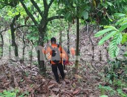 Tujuh Hari Dicari Tanpa Hasil, Nasib Kakek Hilang di Sojol Donggala Masih Misterius