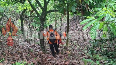 Tujuh Hari Dicari Tanpa Hasil, Nasib Kakek Hilang di Sojol Donggala Masih Misterius