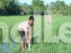Kementerian ATR/BPN Ungkap Cara Cegah Konflik Batas Tanah Sejak Awal