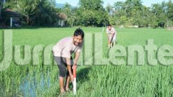 Kementerian ATR/BPN Ungkap Cara Cegah Konflik Batas Tanah Sejak Awal