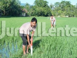 Kementerian ATR/BPN Ungkap Cara Cegah Konflik Batas Tanah Sejak Awal