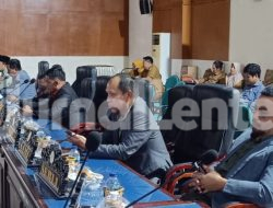 DPRD Parigi Moutong Warning Pohon Rawan Tumbang di Jalan Cinta