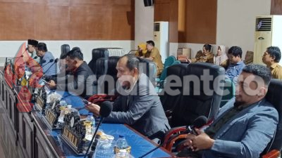 DPRD Parigi Moutong Warning Pohon Rawan Tumbang di Jalan Cinta