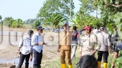 Pemkab Parigi Moutong Akan Salurkan 88,7 Ton Bantuan Benih Padi di Parigi Selatan