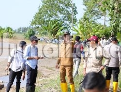 Pemkab Parigi Moutong Akan Salurkan 88,7 Ton Bantuan Benih Padi di Parigi Selatan