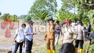 Pemkab Parigi Moutong Akan Salurkan 88,7 Ton Bantuan Benih Padi di Parigi Selatan