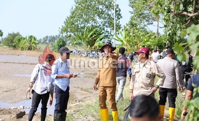 Pemkab Parigi Moutong Akan Salurkan 88,7 Ton Bantuan Benih Padi di Parigi Selatan