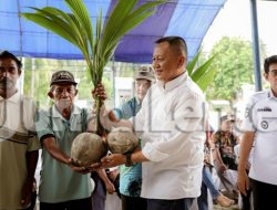 Parigi Moutong Dapat Jatah 500 Hektare Program Kelapa, Tahap Pertama Langsung Digarap 300 Hektare