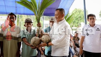 Parigi Moutong Dapat Jatah 500 Hektare Program Kelapa, Tahap Pertama Langsung Digarap 300 Hektare