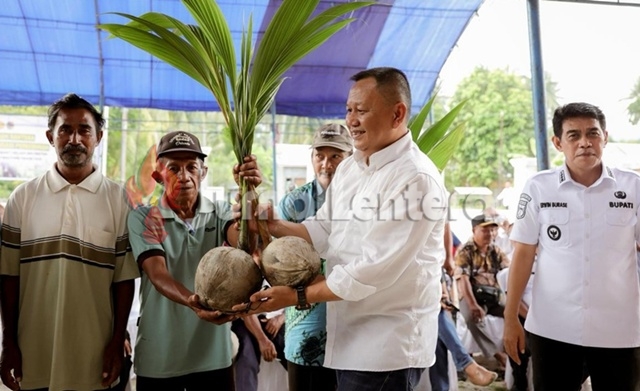 Parigi Moutong Dapat Jatah 500 Hektare Program Kelapa, Tahap Pertama Langsung Digarap 300 Hektare