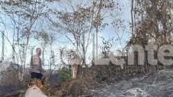 Tiga Hari Tak Padam, Kebakaran Hutan di Banggai Hanguskan 50 Hektare Lahan