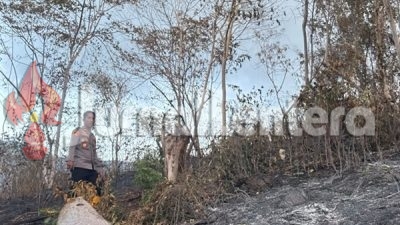 Tiga Hari Tak Padam, Kebakaran Hutan di Banggai Hanguskan 50 Hektare Lahan