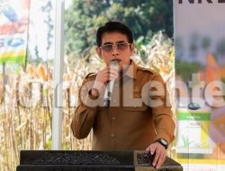 Bupati Parigi Moutong Sebut Jagung Tidak Dijual Mentah, Harus Punya Nilai Tambah