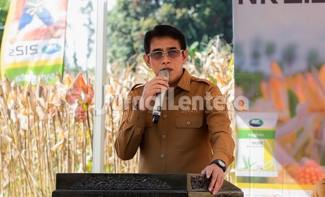 Bupati Parigi Moutong Sebut Jagung Tidak Dijual Mentah, Harus Punya Nilai Tambah