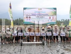 Metode Pertanian Modern Diyakini Dongkrak Produksi Padi Parigi Moutong hingga Dua Kali Lipat