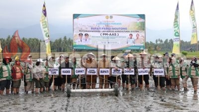 Metode Pertanian Modern Diyakini Dongkrak Produksi Padi Parigi Moutong hingga Dua Kali Lipat