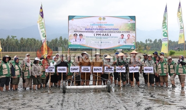 Metode Pertanian Modern Diyakini Dongkrak Produksi Padi Parigi Moutong hingga Dua Kali Lipat