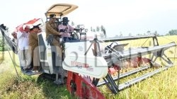 Desa Walatana Sigi Diproyeksikan Jadi Role Model Pertanian Sulteng