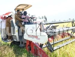 Desa Walatana Sigi Diproyeksikan Jadi Role Model Pertanian Sulteng