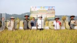 Kelompok Tani di Parigi Moutong Dapat Bantuan Ratusan Ton Benih Padi