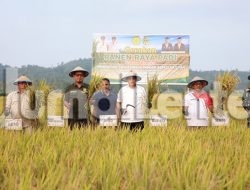 Kelompok Tani di Parigi Moutong Dapat Bantuan Ratusan Ton Benih Padi