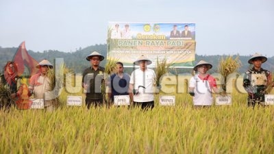 Kelompok Tani di Parigi Moutong Dapat Bantuan Ratusan Ton Benih Padi