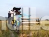 Bupati Parigi Moutong Ingatkan Petani, Tidak Alihfungsikan Lahan Sawah Produktif
