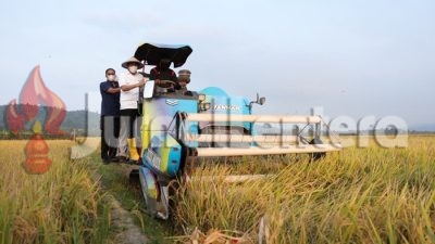 Bupati Parigi Moutong Ingatkan Petani, Tidak Alihfungsikan Lahan Sawah Produktif