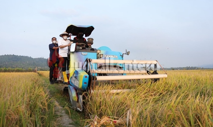 Bupati Parigi Moutong Ingatkan Petani, Tidak Alihfungsikan Lahan Sawah Produktif