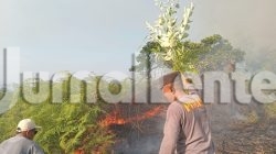 Puntung Rokok Diduga Picu Kebakaran Lahan di Banggai