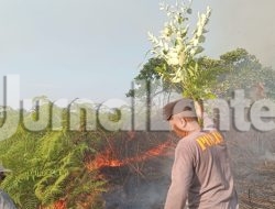 Puntung Rokok Diduga Picu Kebakaran Lahan di Banggai