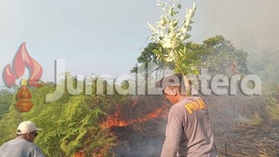 Puntung Rokok Diduga Picu Kebakaran Lahan di Banggai
