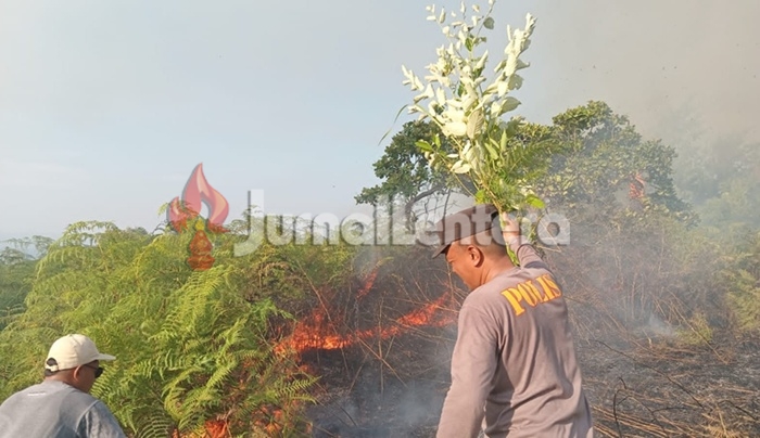 Puntung Rokok Diduga Picu Kebakaran Lahan di Banggai