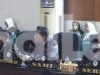 DPRD Parigi Moutong Dorong Pemda Kaji Diversifikasi Penempatan Dana Daerah