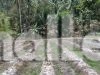Kemarau Panjang Mengancam Parigi Moutong, 235 Hektare Lahan Mulai Terdampak