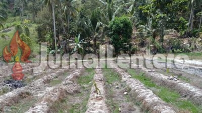 Kemarau Panjang Mengancam Parigi Moutong, 235 Hektare Lahan Mulai Terdampak